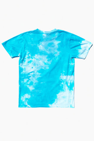 Hot Gay Summer tie-dye t-shirt back view by Qweer